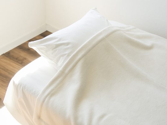 シルクかエジプト超長綿か 毛布選びのポイント教えます スタイルコラム