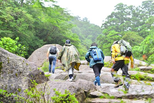 yakushima102