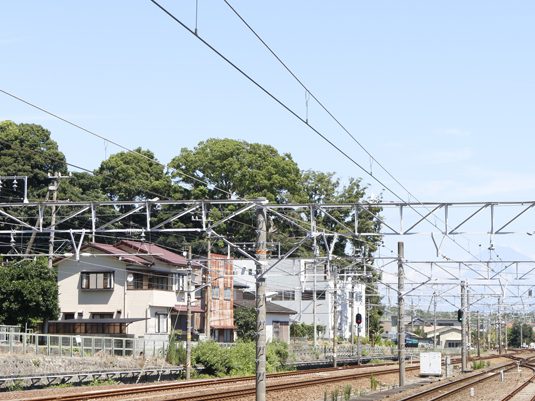 shizuoka23