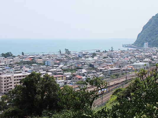 shizuoka2