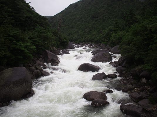 yakushima139
