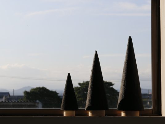 shizuoka41