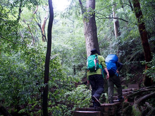 yakushima014