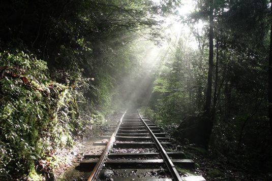 yakushima125