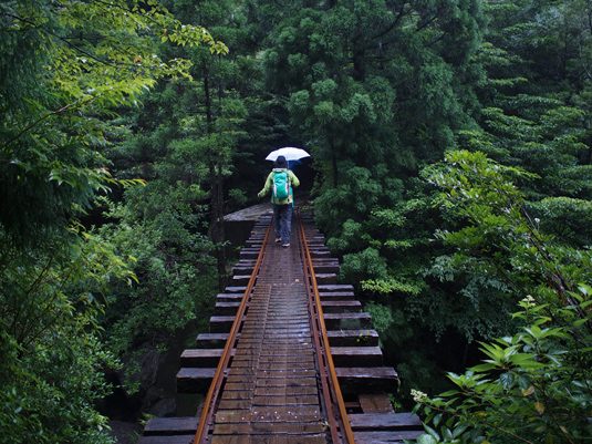 yakushima008