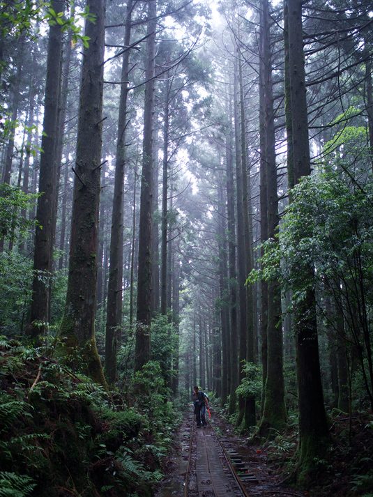yakushima006
