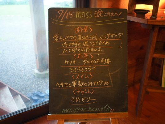 yakushima28