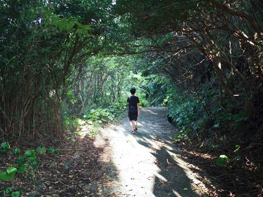 yakushima46