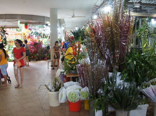 SONY DSC