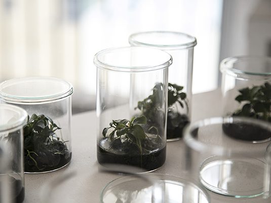 visionglass_12