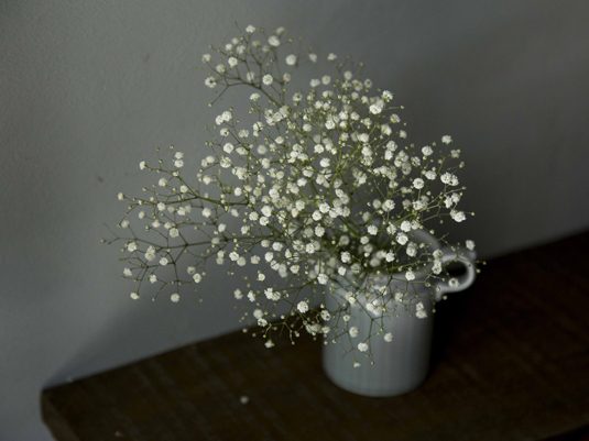 花一輪 6月29日 かすみ草 スタイルコラム