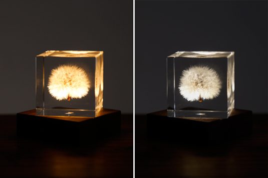 lightbase_09