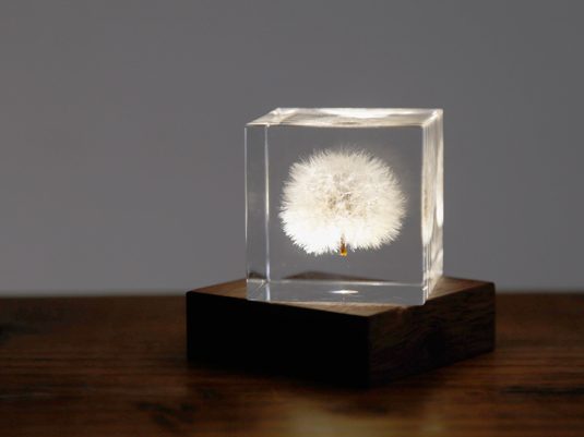 lightbase_13