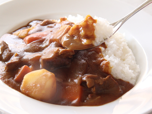 カレー用スプーン カレー賢人 キャリ 1本入 スタイルストア