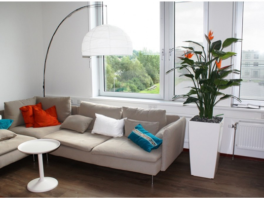 strelitzia_deluxe_kunstplant_in_cubico_40x75cm