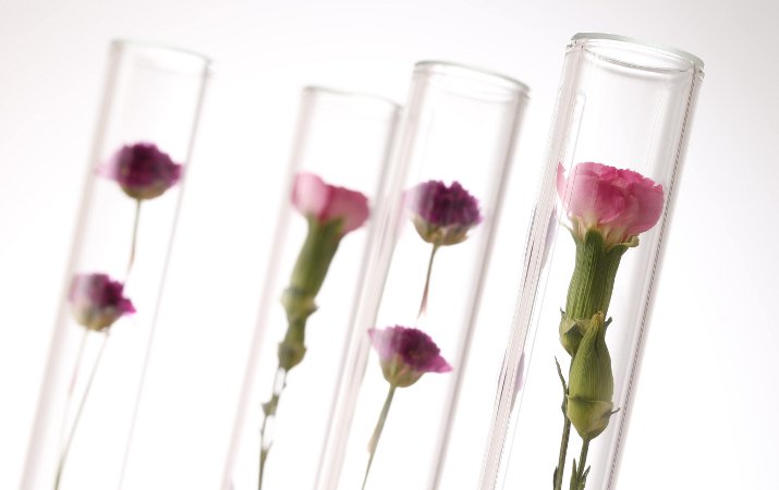 母の日にプレゼントしたい 人気のインテリア雑貨10選 スタイルコラム