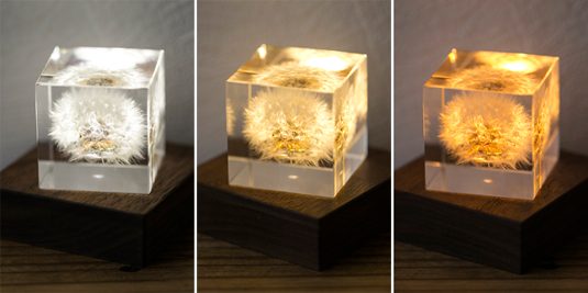 lightbase_40